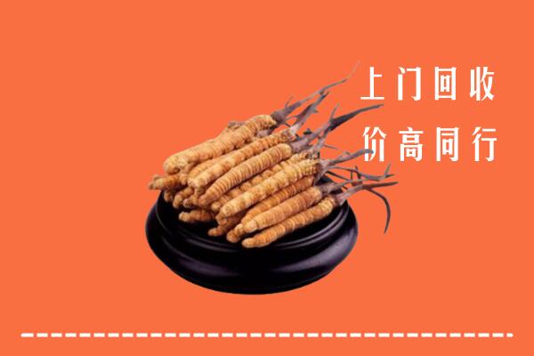 高价求购：重庆綦江区回收散虫草