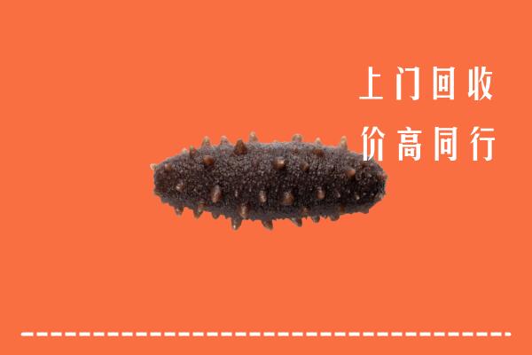 重庆綦江区回收海参