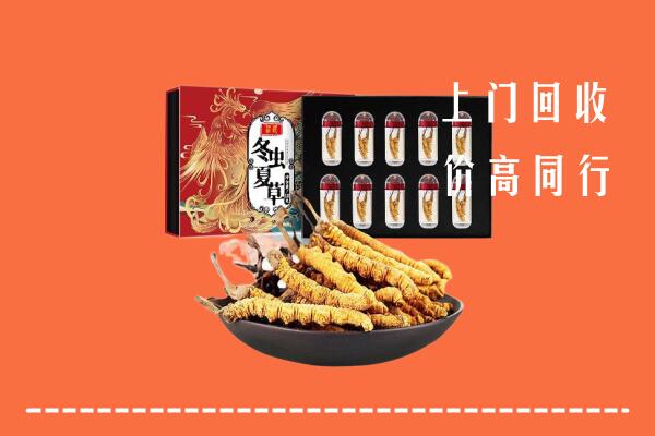 重庆綦江区回收虫草